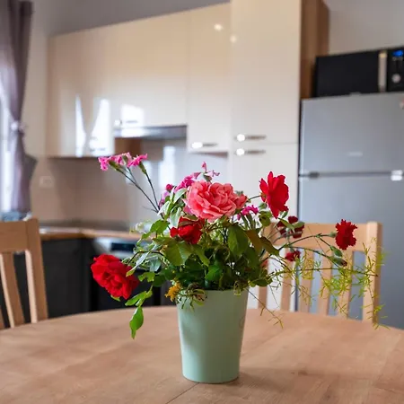 My Dalmatia - Blagdan One With Private Parking Задар